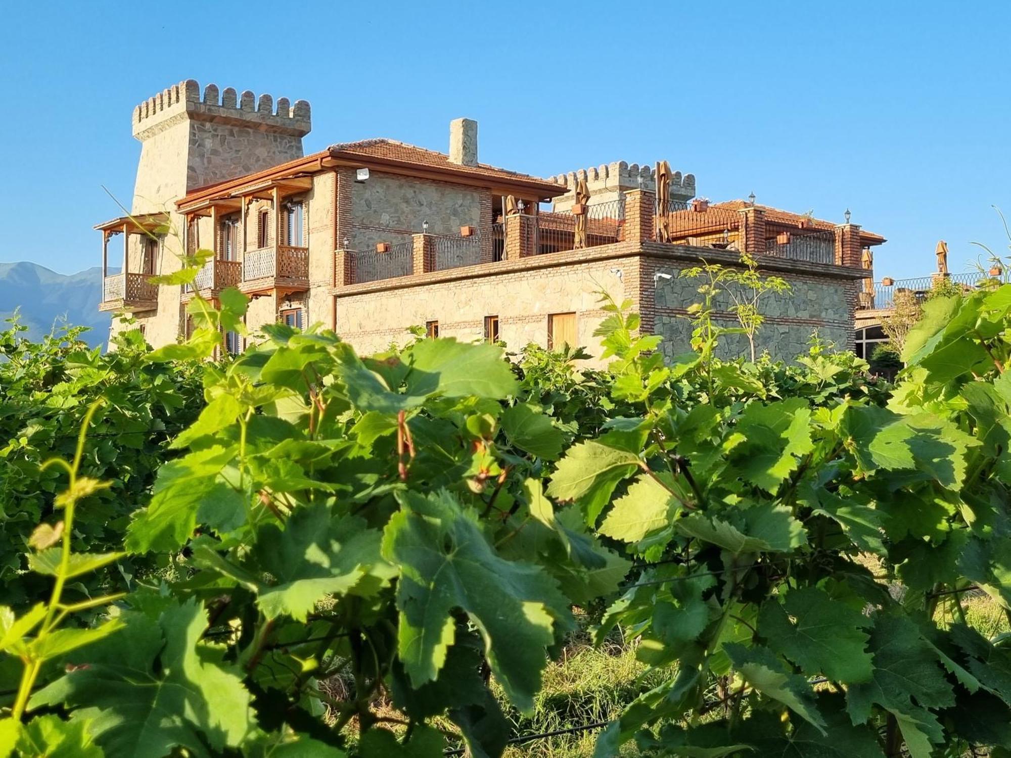 Chateau Davitiani Shilda Exteriör bild