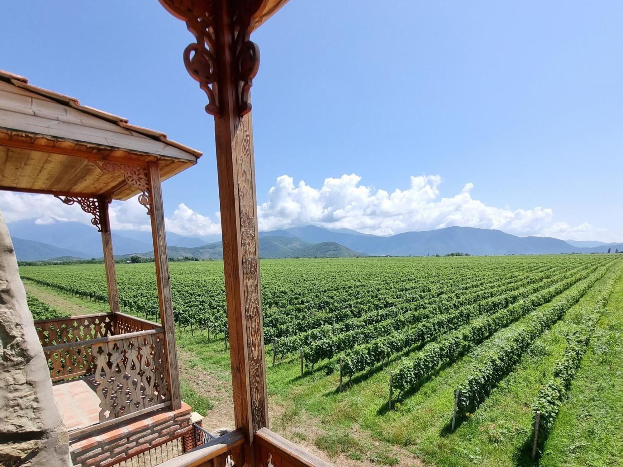 Chateau Davitiani Shilda Rum bild